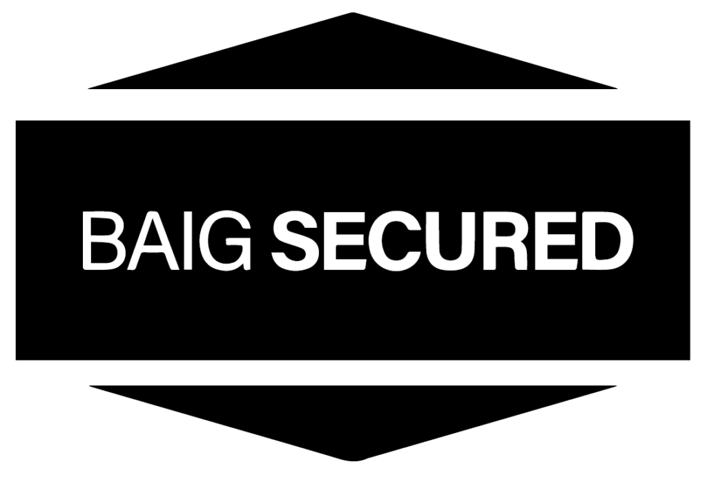 baigsecurity-logo