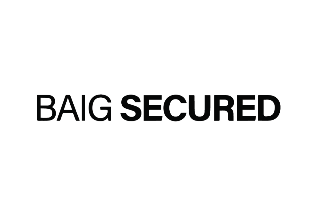 baigsecurity-logo-white